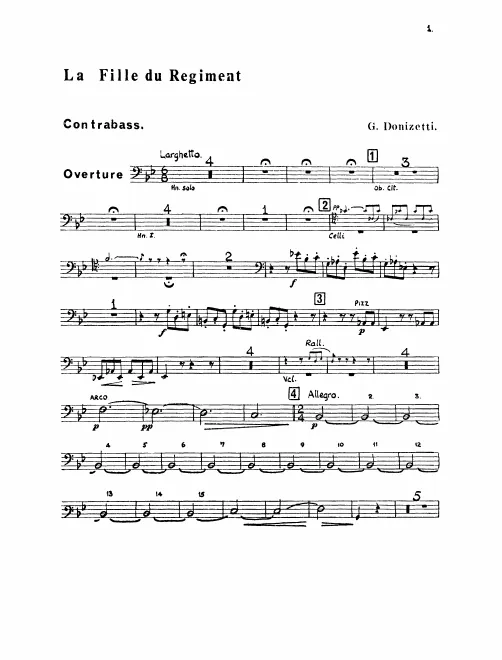 Basses