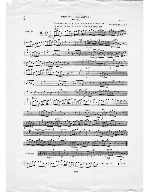 Violas