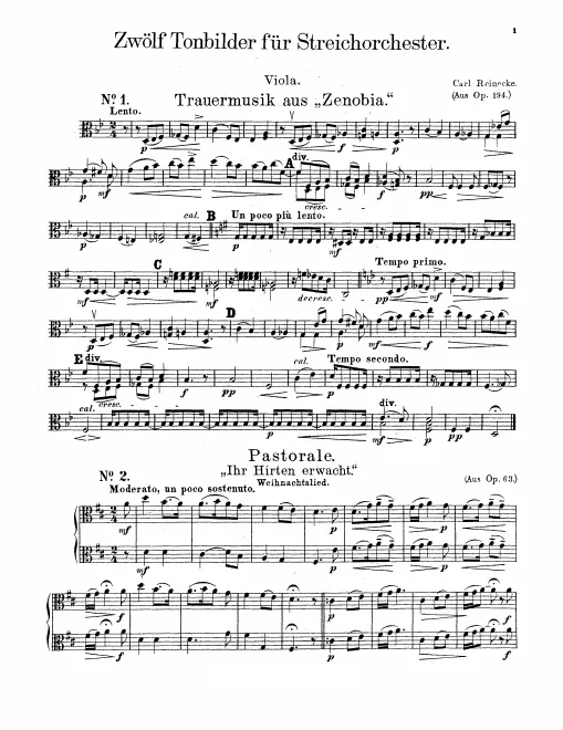 Violas