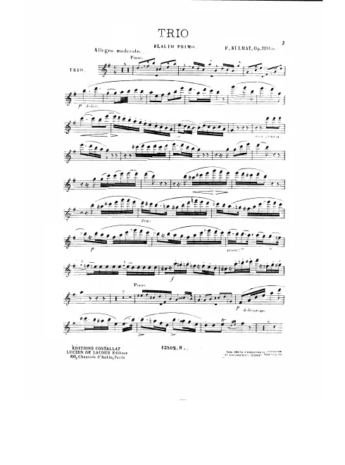 Flute 1