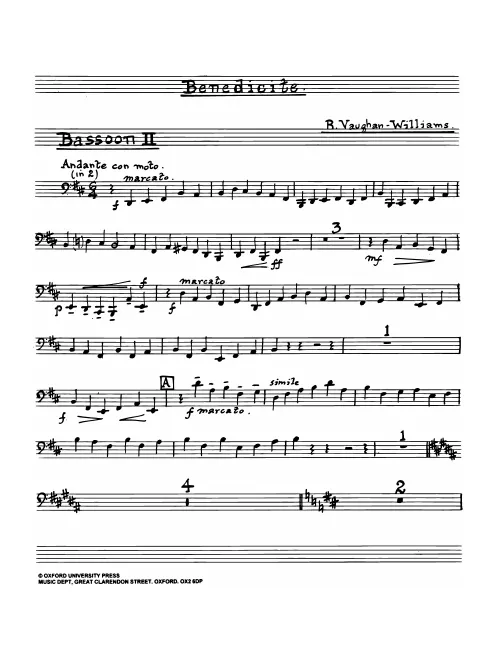 Bassoon 2