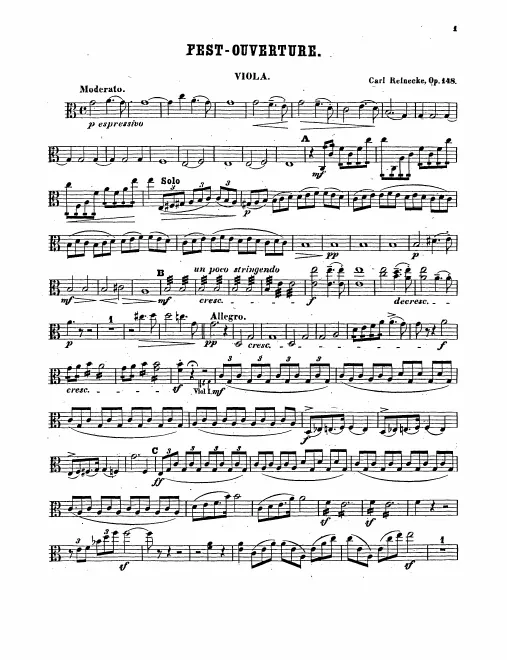 Violas