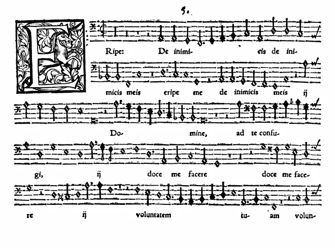 Bassus