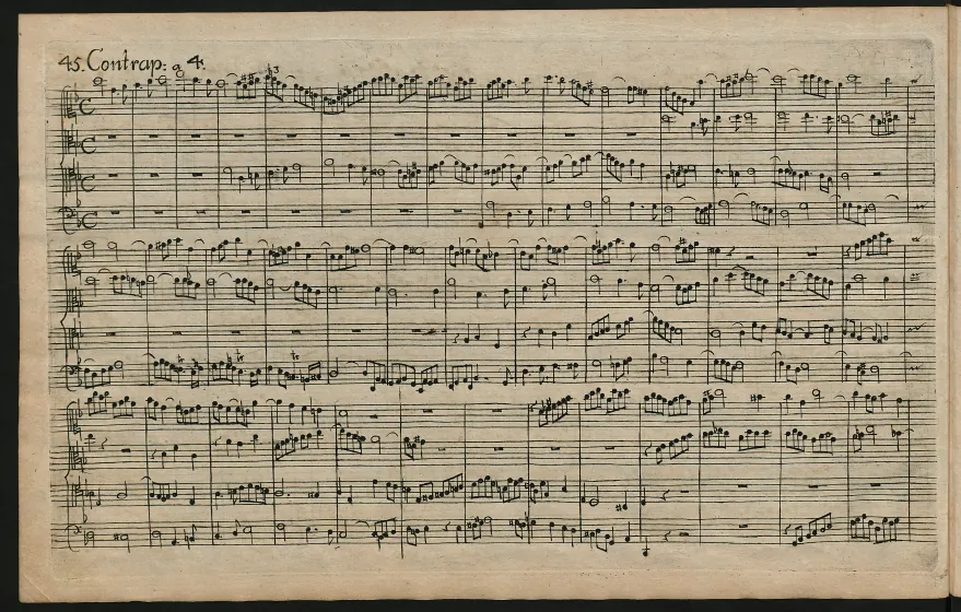 Section 3 (pp.45-67)