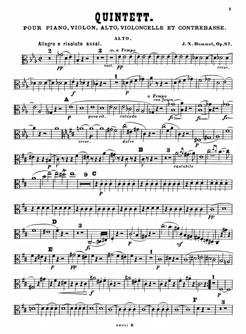 Viola