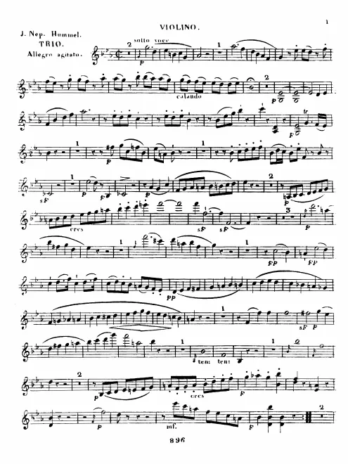 Violin