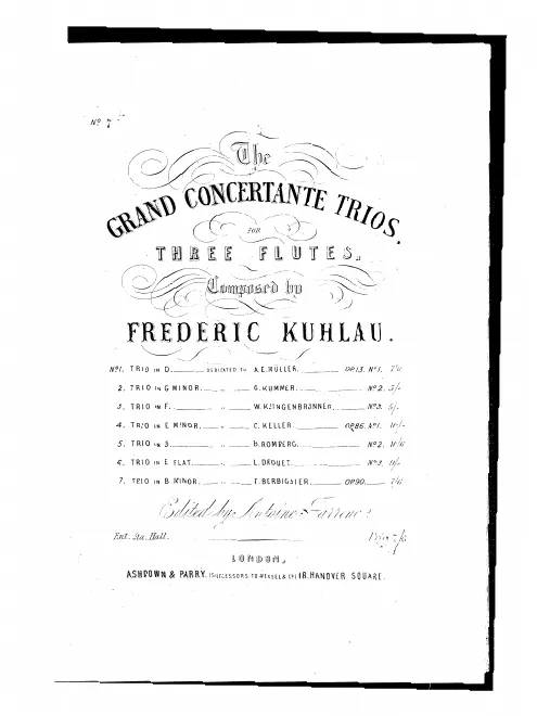 Flute 2