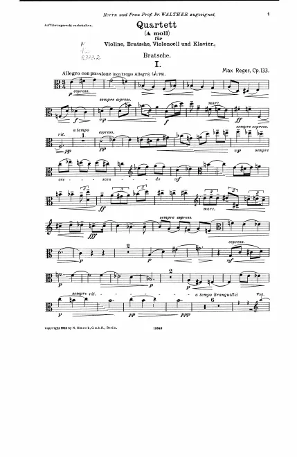 Viola