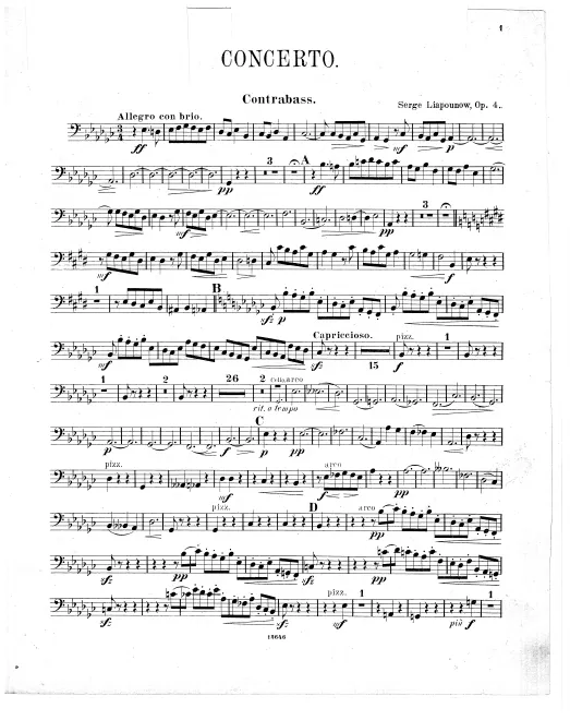 Double Bass