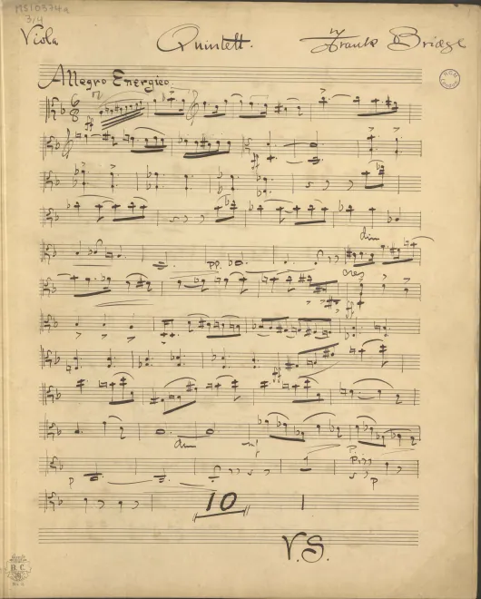 Viola