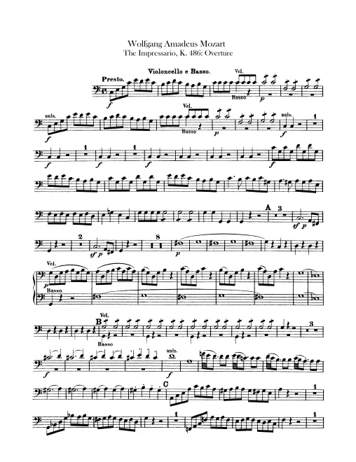 Cellos and Basses