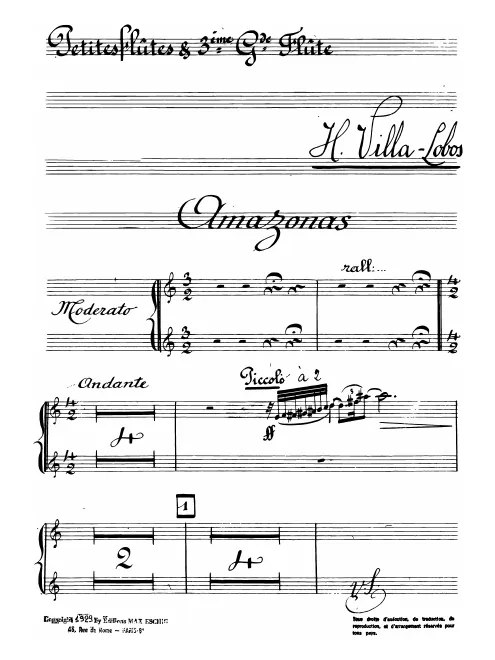 Flute 3/Piccolo