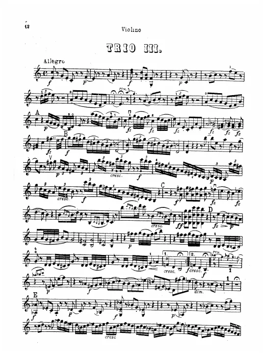 Violin