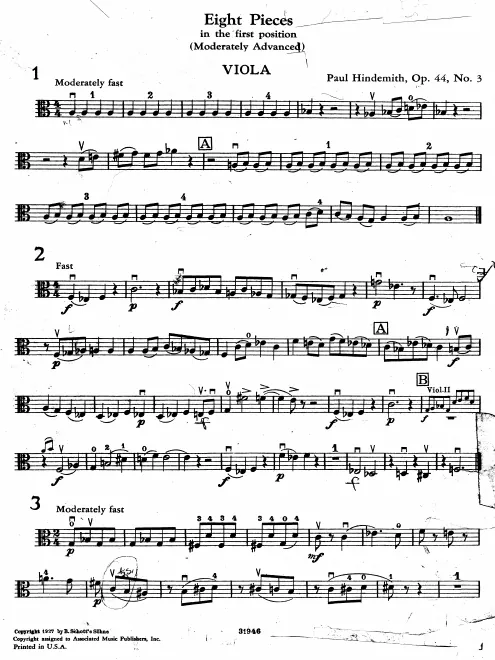 Viola
