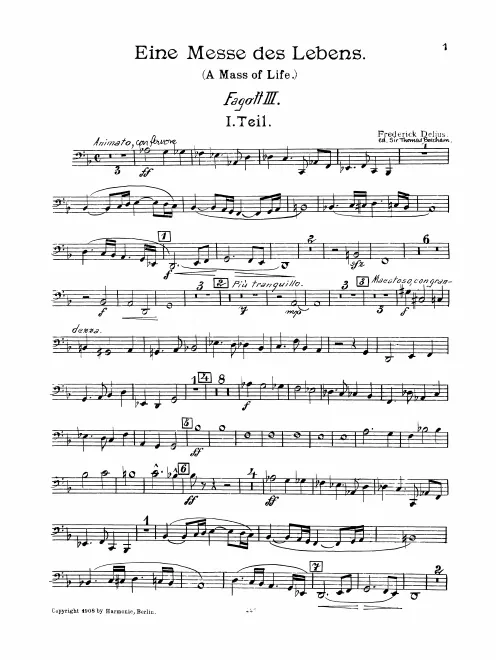 Bassoon 3