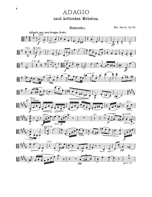 Violas