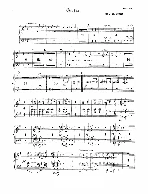 Organ