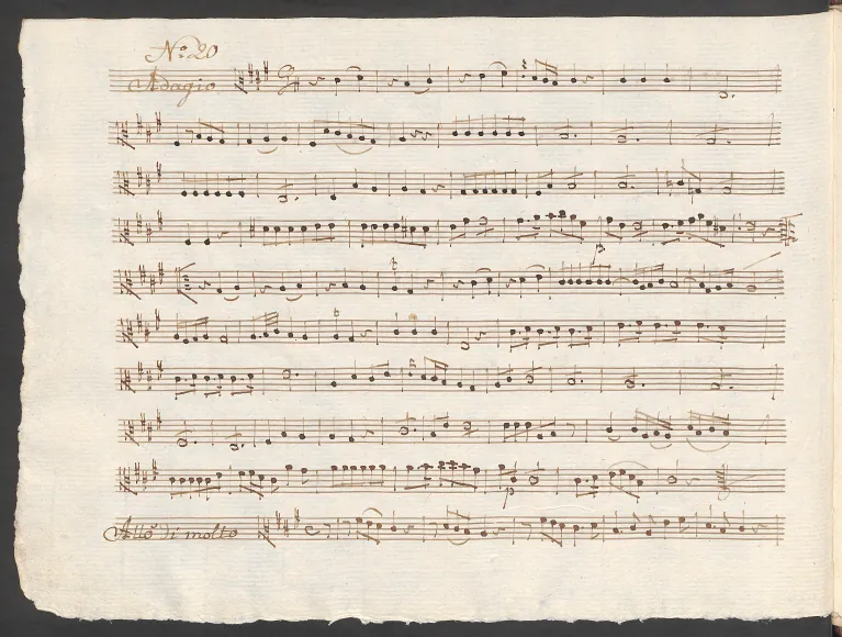Viola