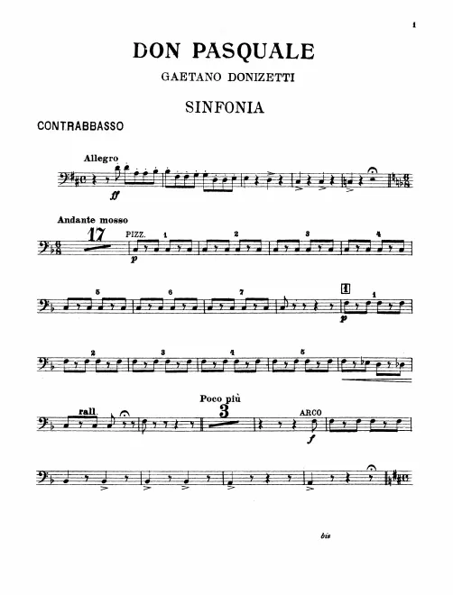 Basses
