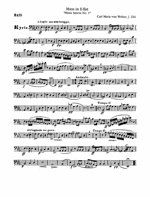Basses