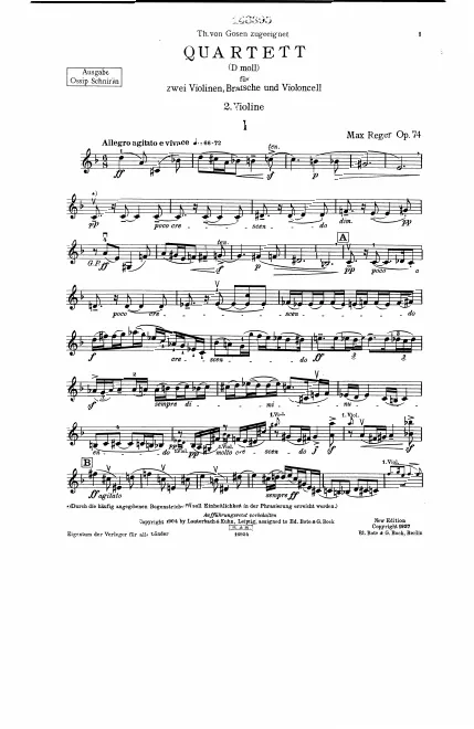 Violin 2