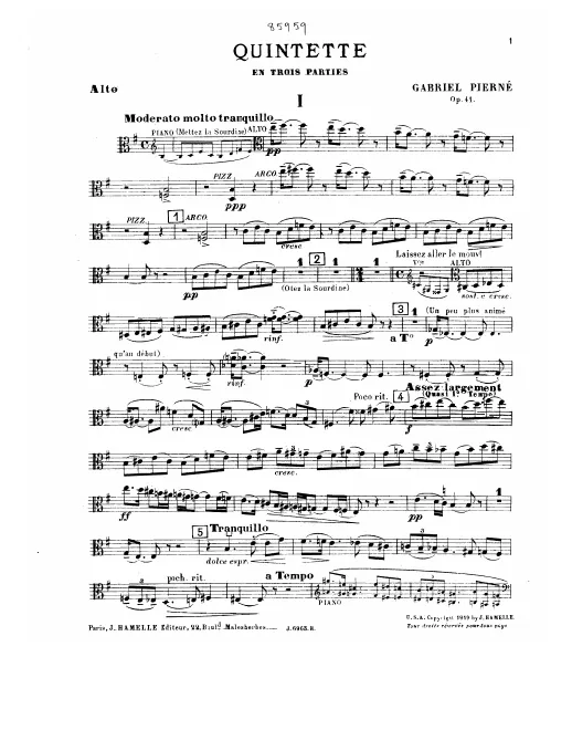 Viola