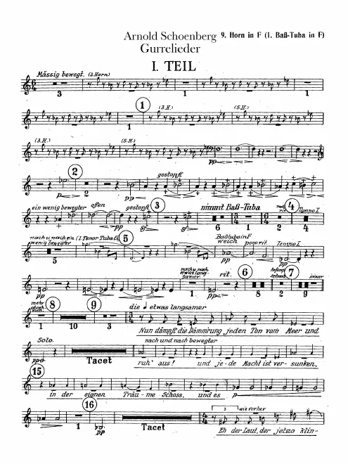 Horn 9 (F)/Bass Wagner Tuba 1 (F)