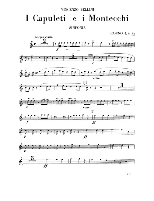 Horn 1 (D)