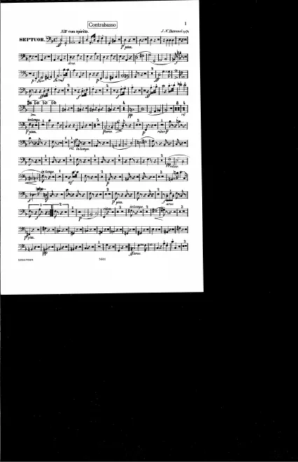 Double Bass