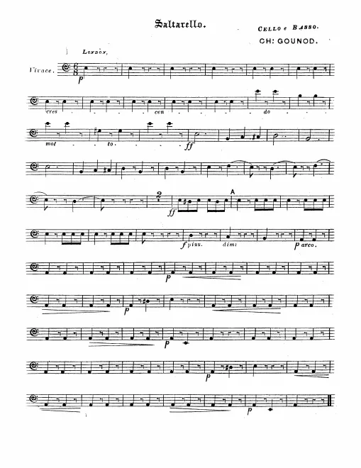 Cellos/Basses