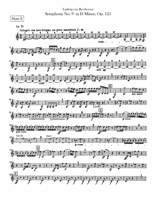 Horn 2 (D/B♭)