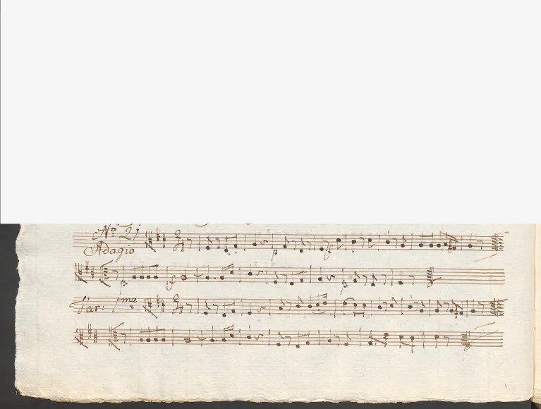 Viola