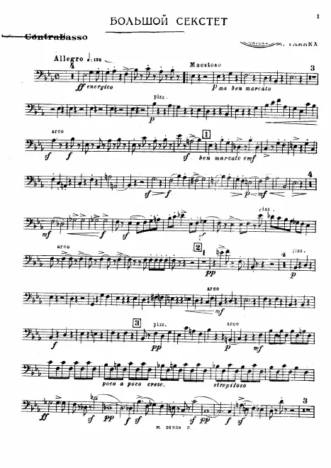 Double Bass