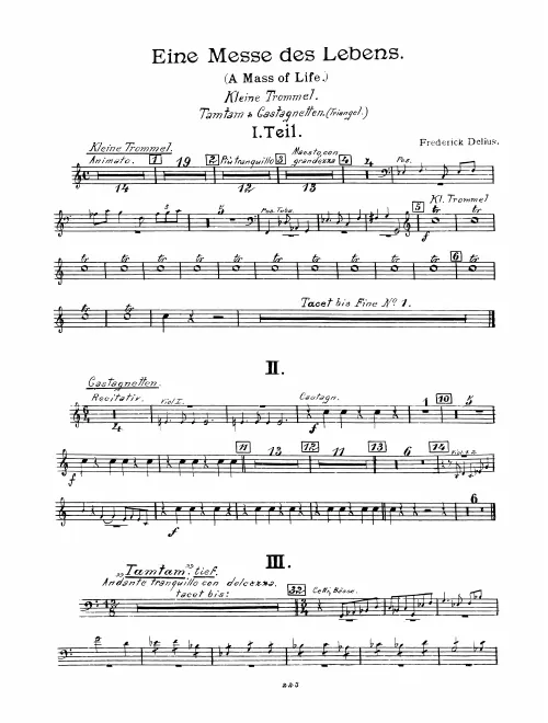 Snare Drum/Tam-Tam/Castanets/Triangle