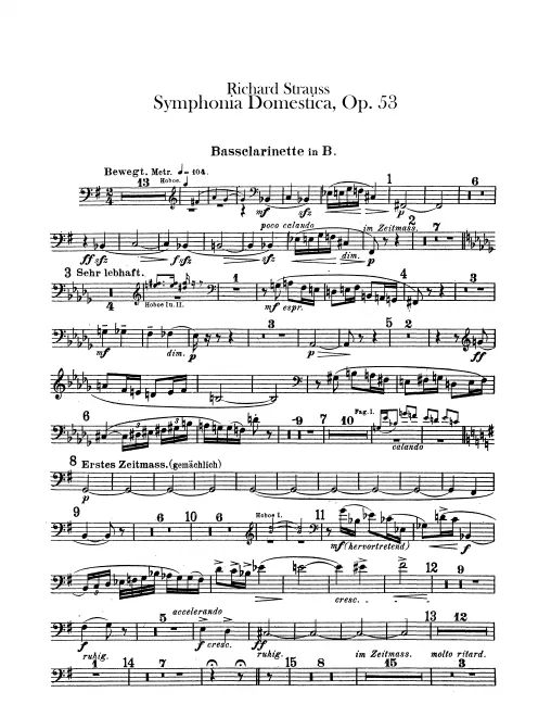 Bass Clarinet (B♭)
