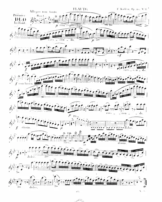 Flute