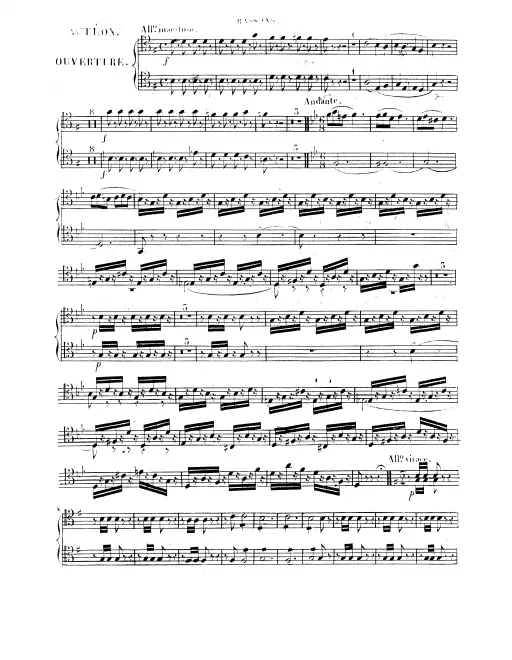 Bassoon 1/2
