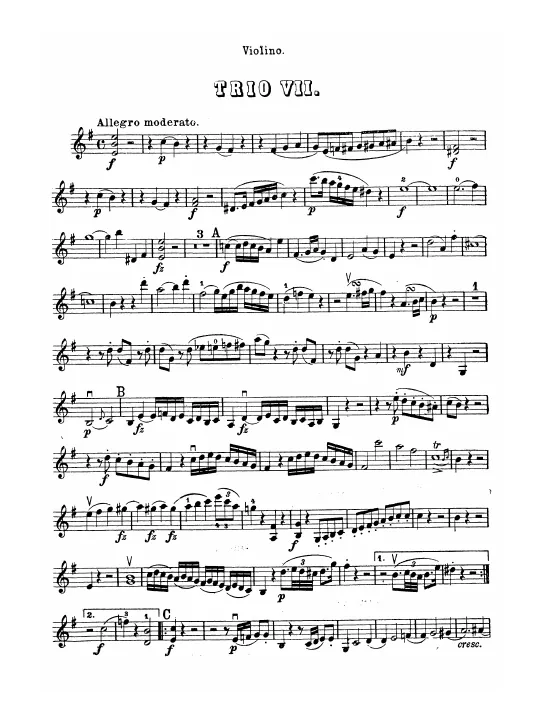 Violin