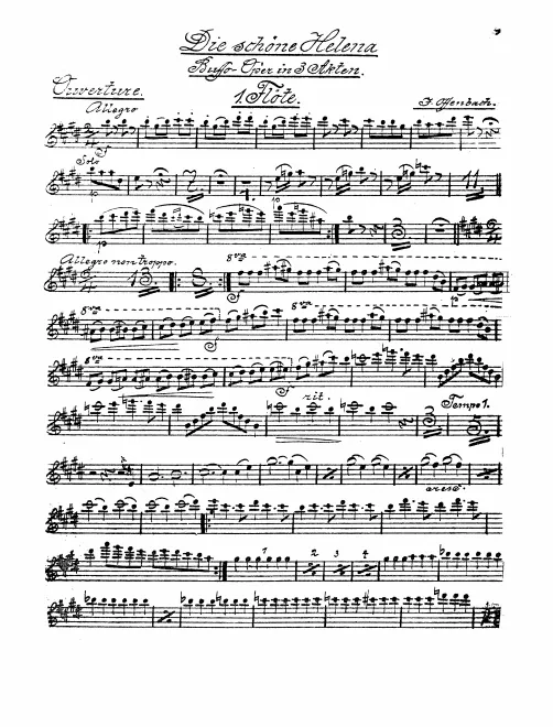 Flute 1