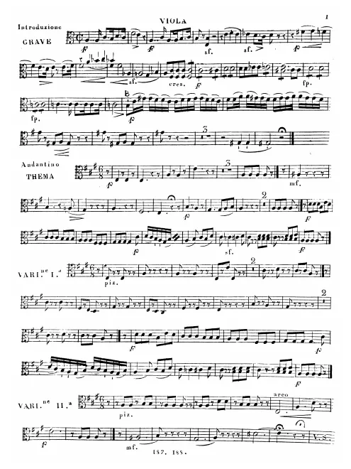 Viola