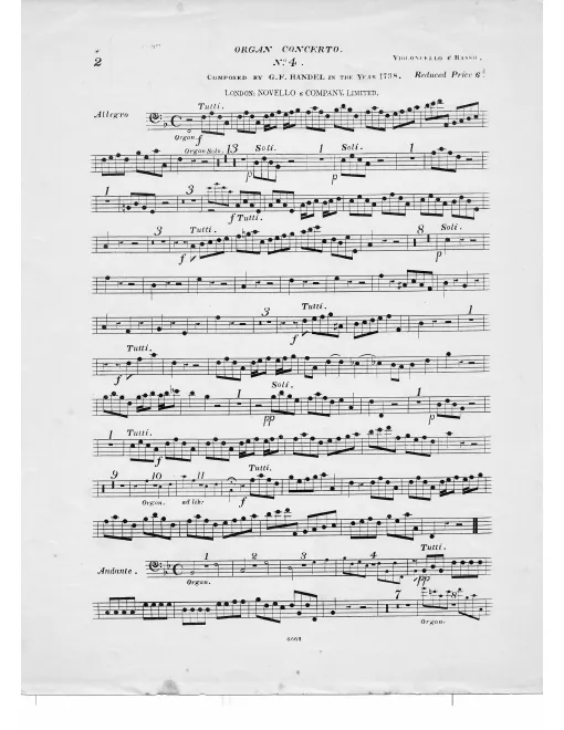 Cellos/Basses