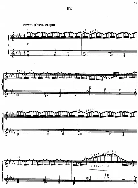 Etude No.12 in