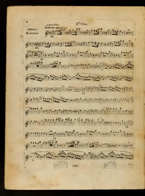 Flute 2 (doub. piccolo)