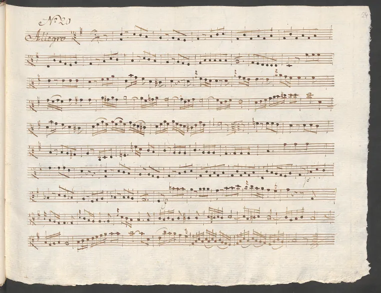 Viola