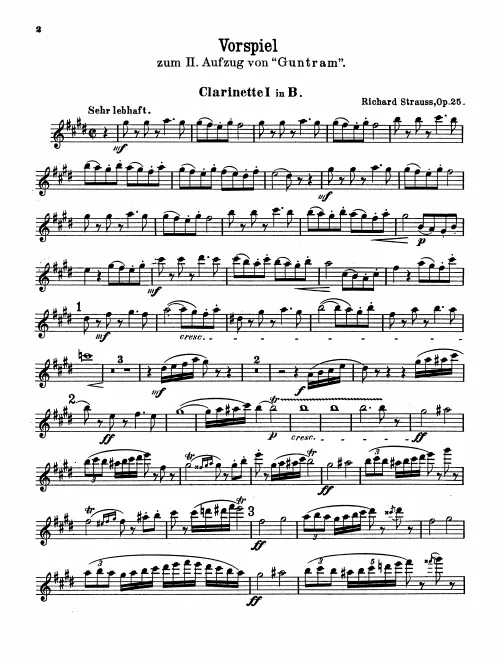Clarinet 1, 2, 3/Bass Clarinet (B♭)