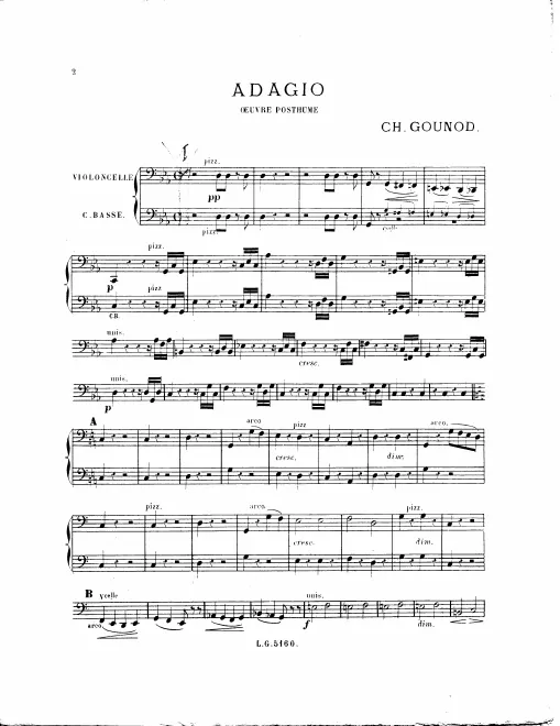 Cellos/Basses