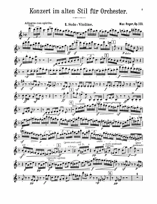 Violin Solo
