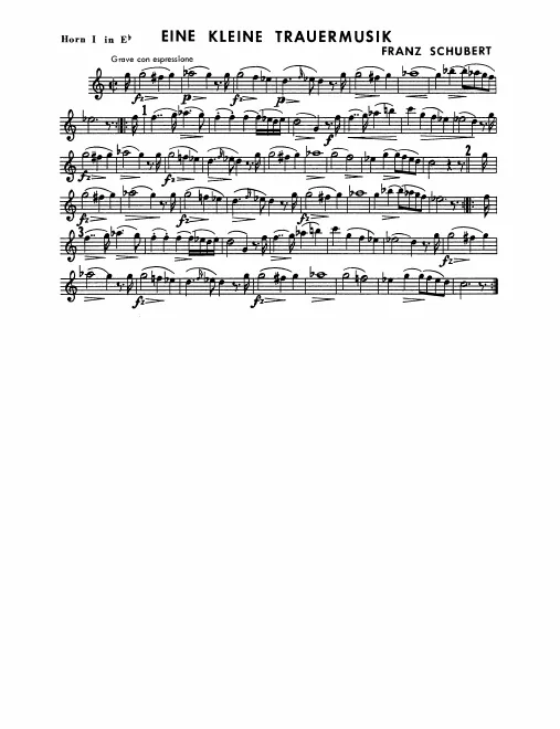 Horn 1, 2 (E♭)