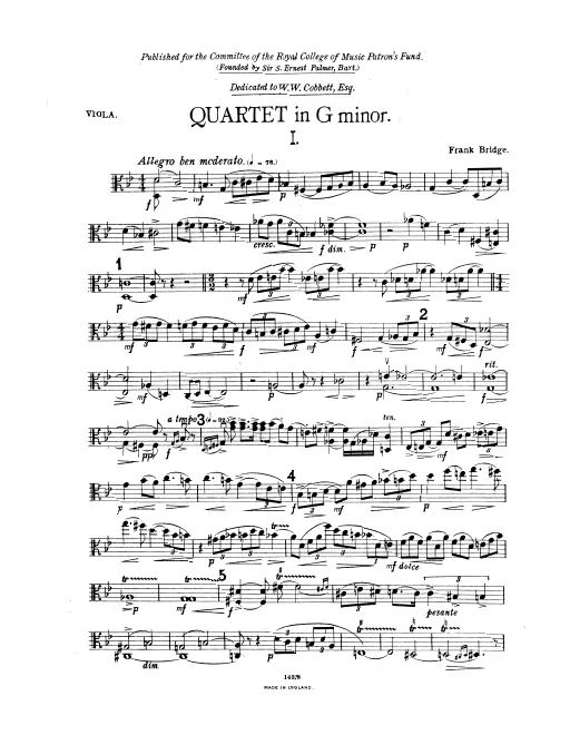 Viola