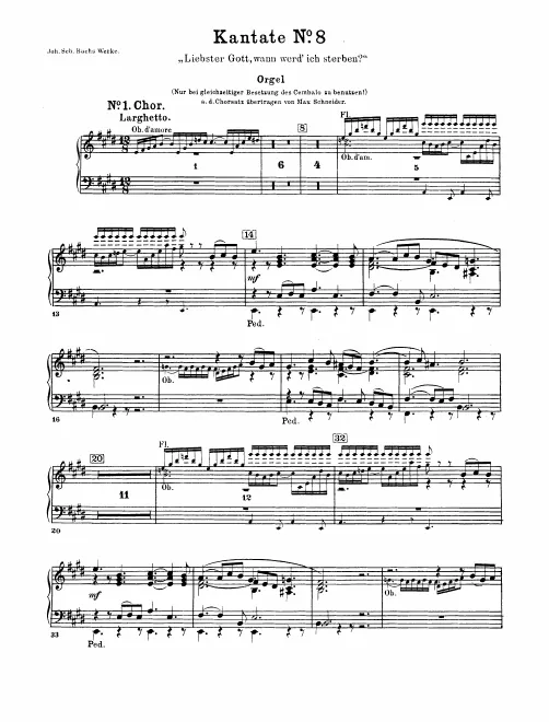 Organ